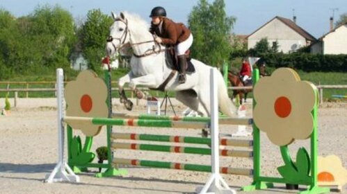  Le Saut d'obstacle (CSO)