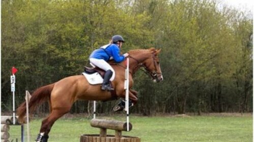 Le concours complet d'équitation (CCE)