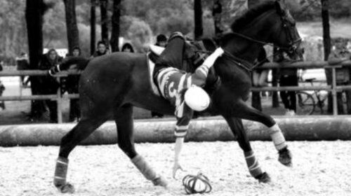 Le horse-ball