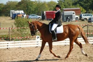 Le Dressage