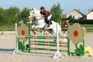  Le Saut d'obstacle (CSO)