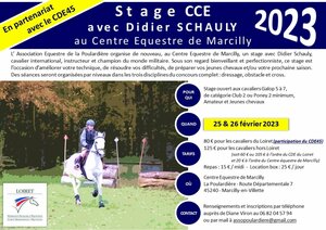 Stage cavaliers CCE avec Didier Schauly
