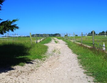 Près et paddocks