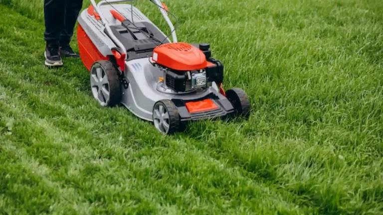 Tondeuse à gazon utilisée pour entretenir une pelouse haute dans un jardin résidentiel.